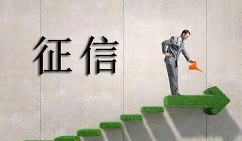 擦亮民族品牌 助力行業(yè)振興——工藝美術(shù)行業(yè)信用評價(jià)標(biāo)準(zhǔn)項(xiàng)目啟動及市場調(diào)查分析